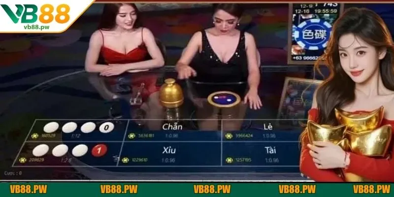 Mẹo cược xóc đĩa live hiệu quả anh em cần nắm